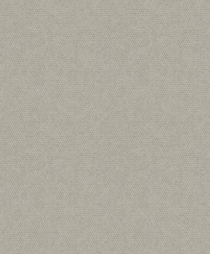 Marburger Tapete 81886 10,05 x 0,53 m marburg basic 2024 (Nov. 6717-40)